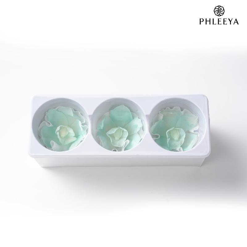 Lan hồ điệp vĩnh cửu DIY hoa trang trí cưới decor cao cấp (HK-6)