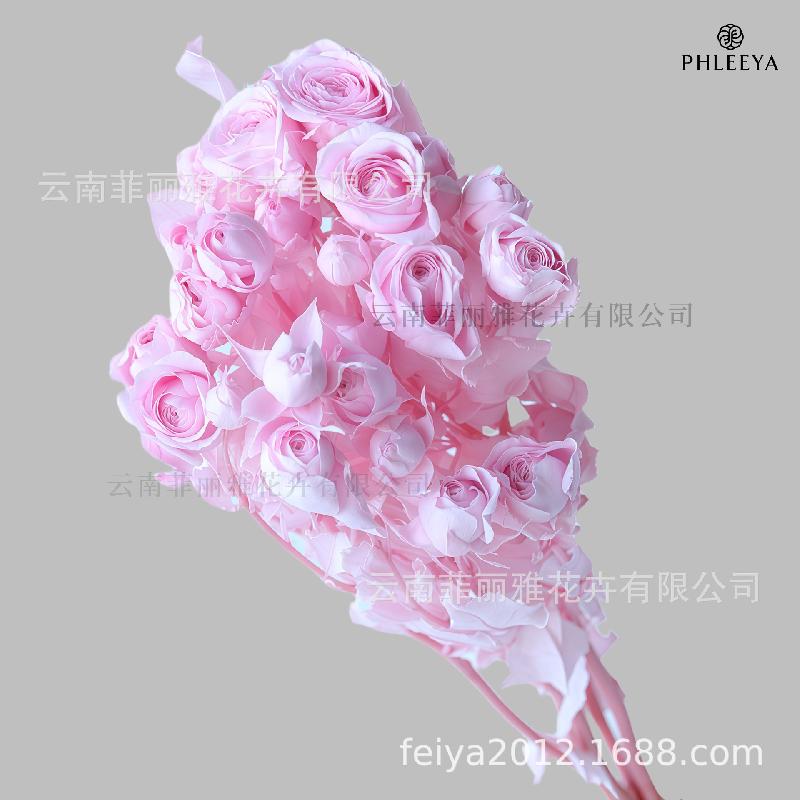Hoa hồng chùm vĩnh cửu DIY hoa khô làm bó hoa cao cấp (HK-9)