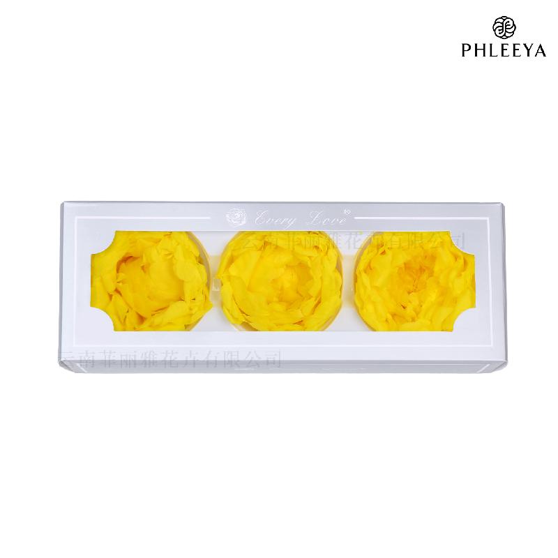 Hoa mẫu đơn vĩnh cửu 7–8cm 3 bông hạng A DIY hoa trang trí (HK-24)