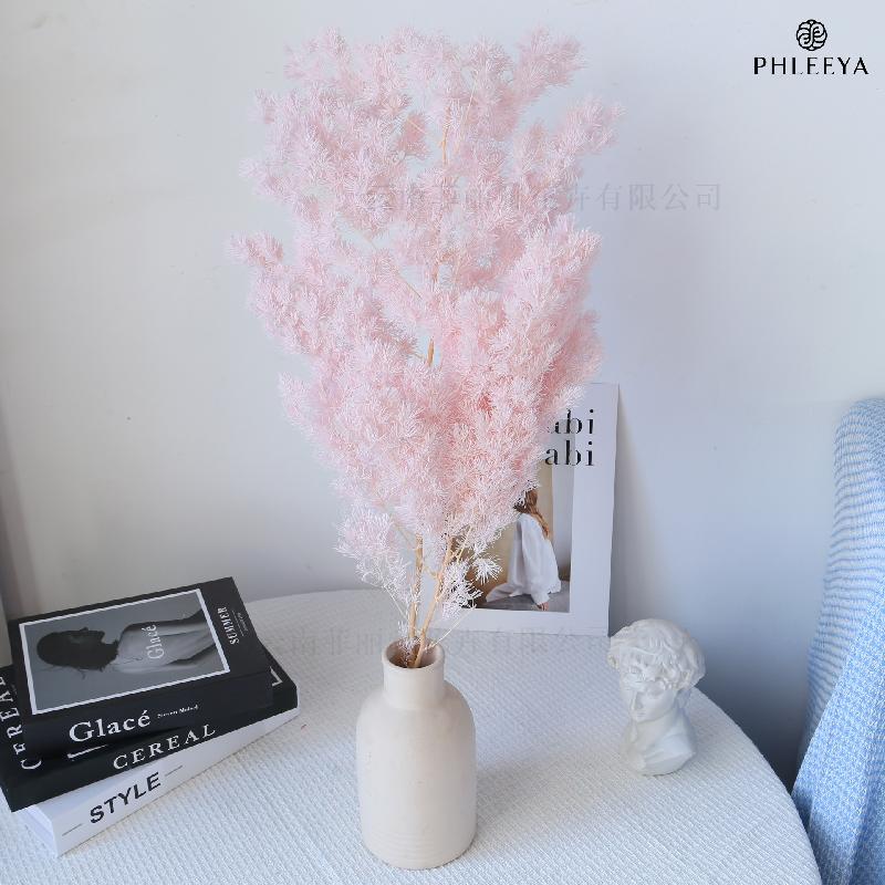 Lá tùng Bồng Lai vĩnh cửu DIY hoa khô cắm bình lồng kính (HK-43)