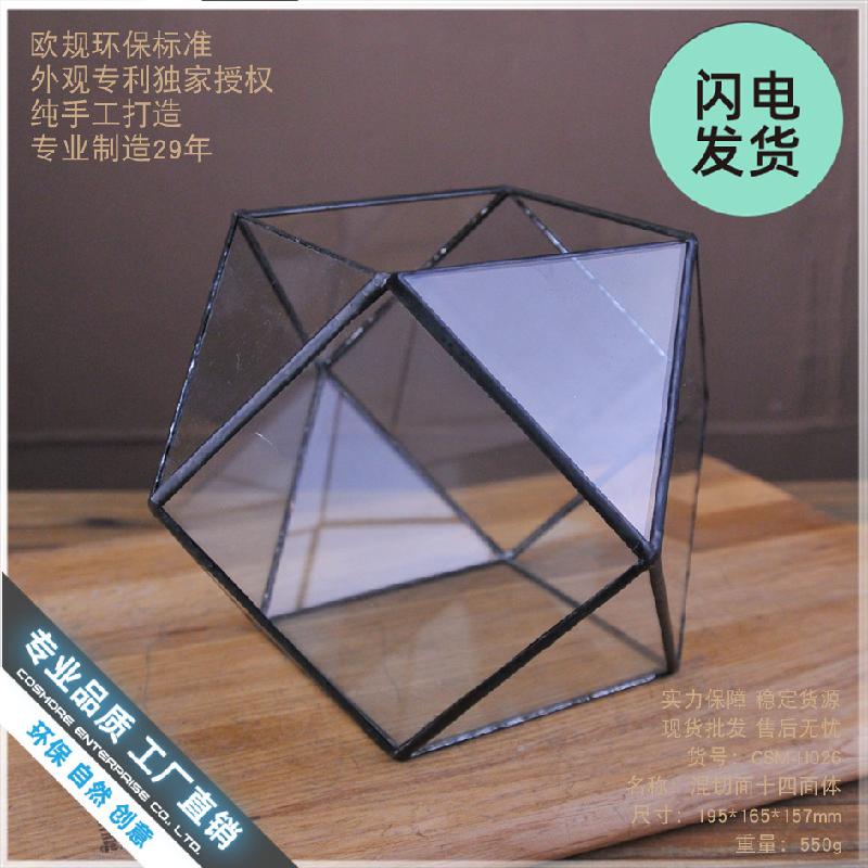 Bình sinh thái rêu cảnh DIY (DG-224)