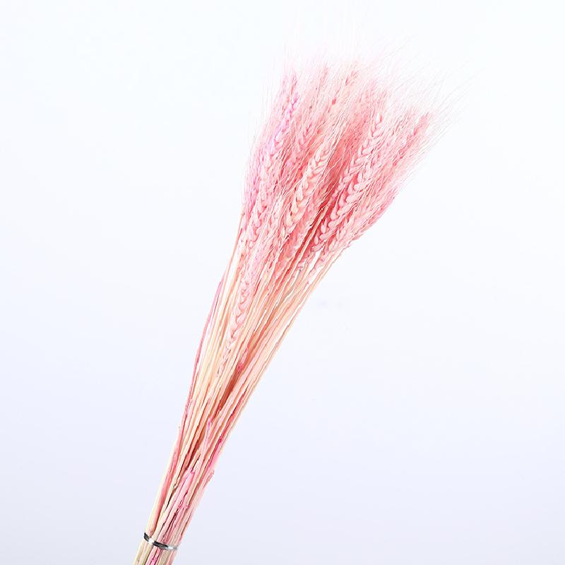 FY-69