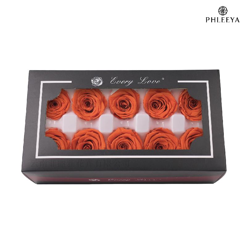 Hoa hồng vĩnh cửu 4cm hạng B 10 bông DIY hoa khô cao cấp (HK-8)