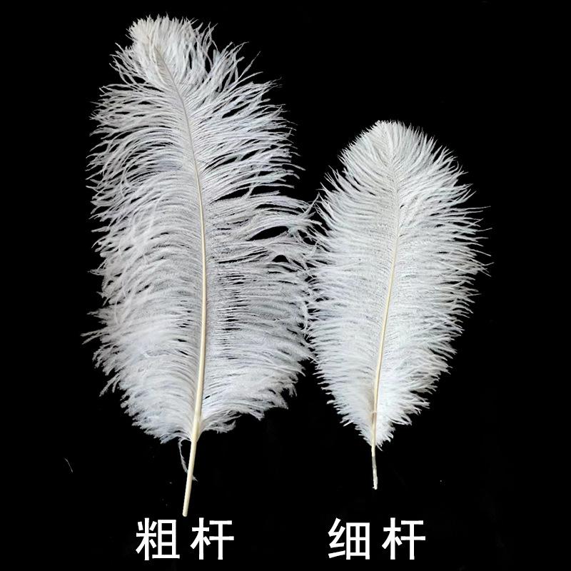 Lông đà điểu trắng từ 15-80cm, lý tưởng cho trang trí sân khấu và sự kiện. Cung cấp số lượng lớn cho đám cưới và DIY. Sẵn có hàng, mua bán buôn.