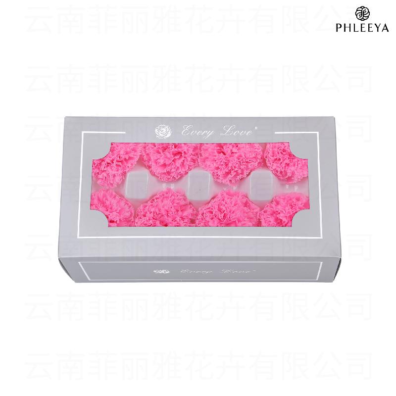 Hoa cẩm chướng vĩnh cửu 8 bông DIY quà Ngày của Mẹ (HK-30)