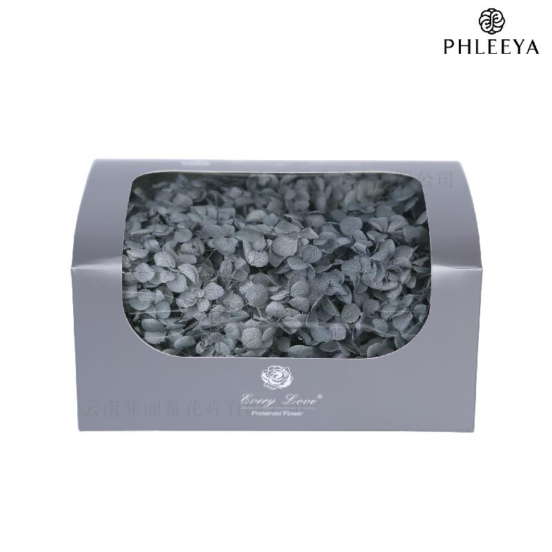 Cẩm tú cầu Anna vĩnh cửu 20g DIY hoa khô trang trí (HK-32)