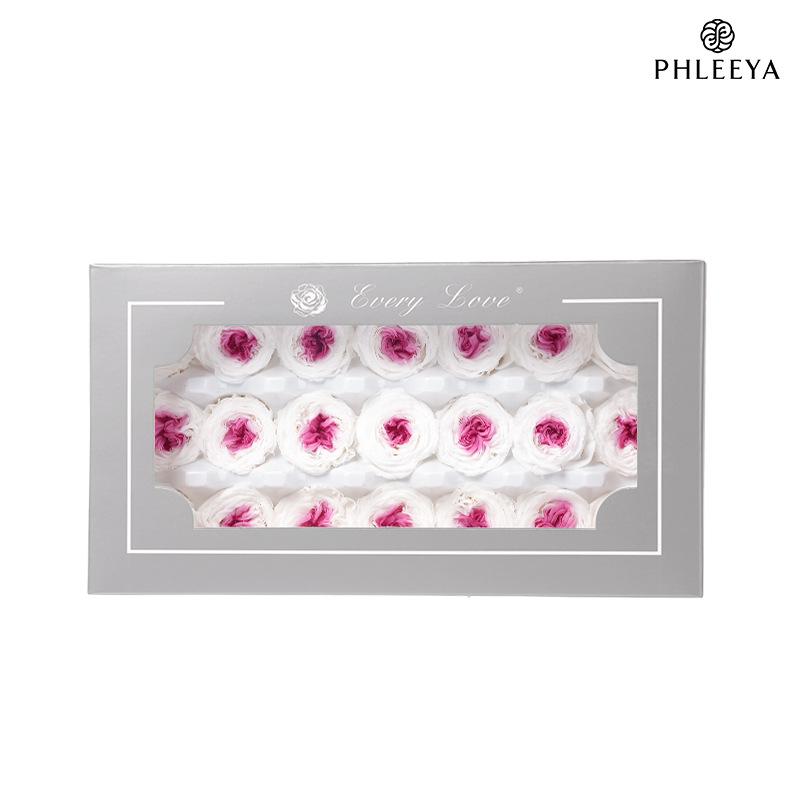 Hoa hồng Austin vĩnh cửu 2–3cm Chocolate Bubble DIY hoa khô (HK-15)