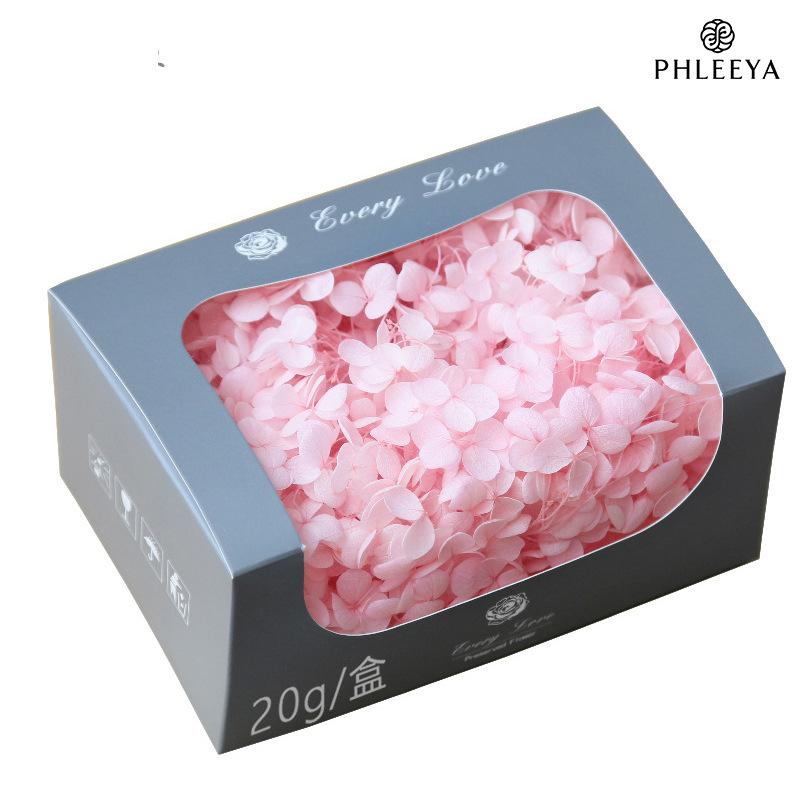 Cẩm tú cầu Anna vĩnh cửu 20g DIY hoa khô trang trí (HK-32)