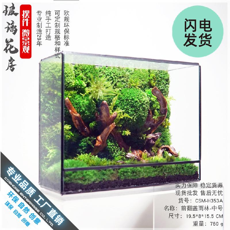 Bể rêu cảnh hệ sinh thái để bàn (DG-6)
