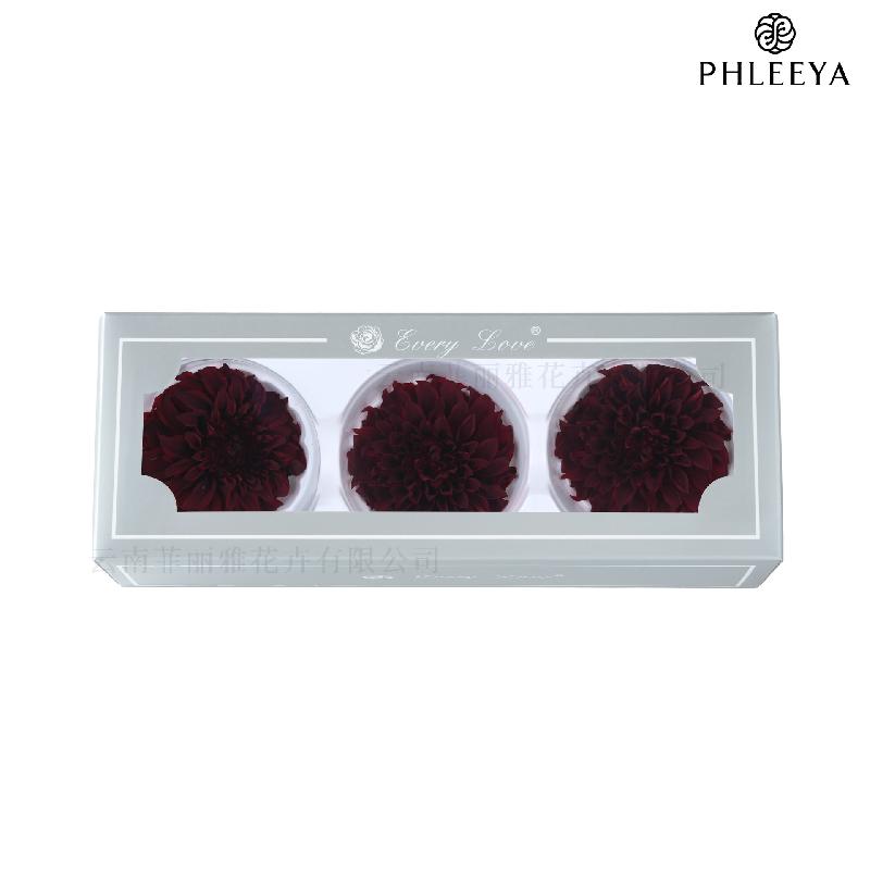 Hoa thược dược vĩnh cửu 7–8cm chuyển màu DIY hoa trang trí cưới (HK-21)