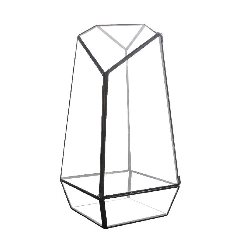 DG-1 Bình hoa hữu cơ sinh thể tế bào thảo mộc micro-landscape