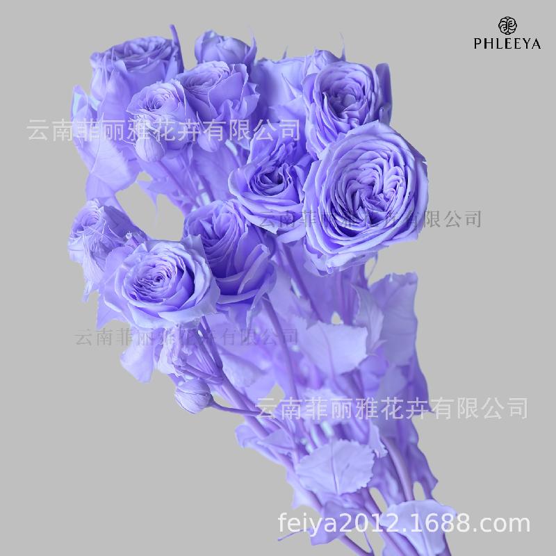 Hoa hồng chùm vĩnh cửu DIY hoa khô làm bó hoa cao cấp (HK-9)