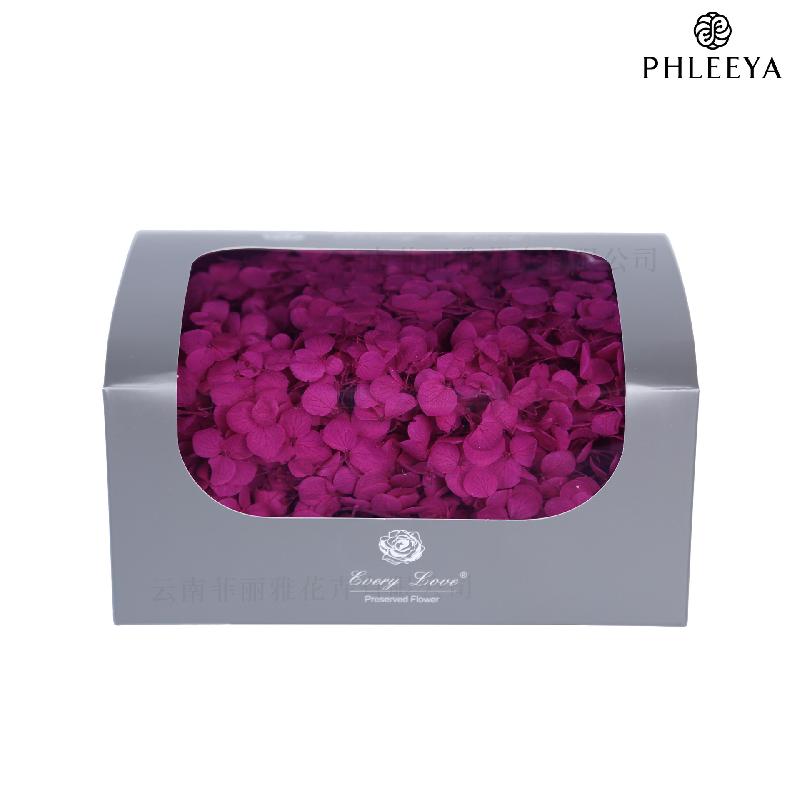 Cẩm tú cầu Anna vĩnh cửu 20g DIY hoa khô trang trí (HK-32)