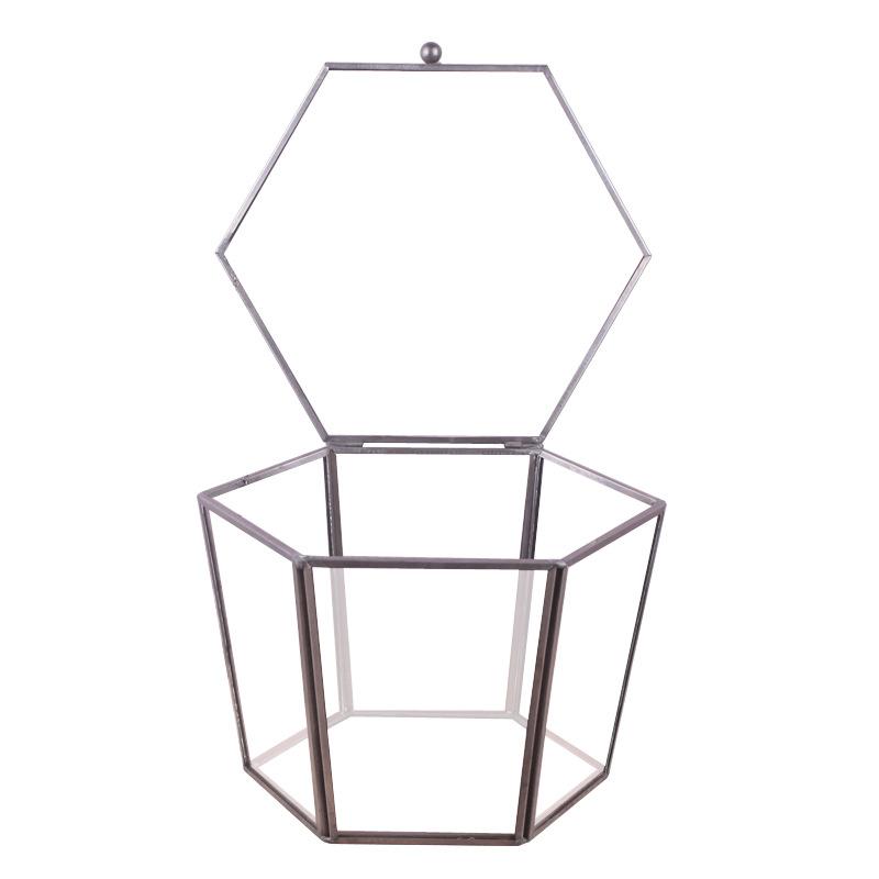 Chậu Đa Giác DG-219 Hộp quà hoa tử vong, sản phẩm công nghệ, che bọc thủy tinh, trang trí nhà cửa, sáu mặt cạnh đều, che bọc thủy tinh, phòng hoa, trang sức trang trí