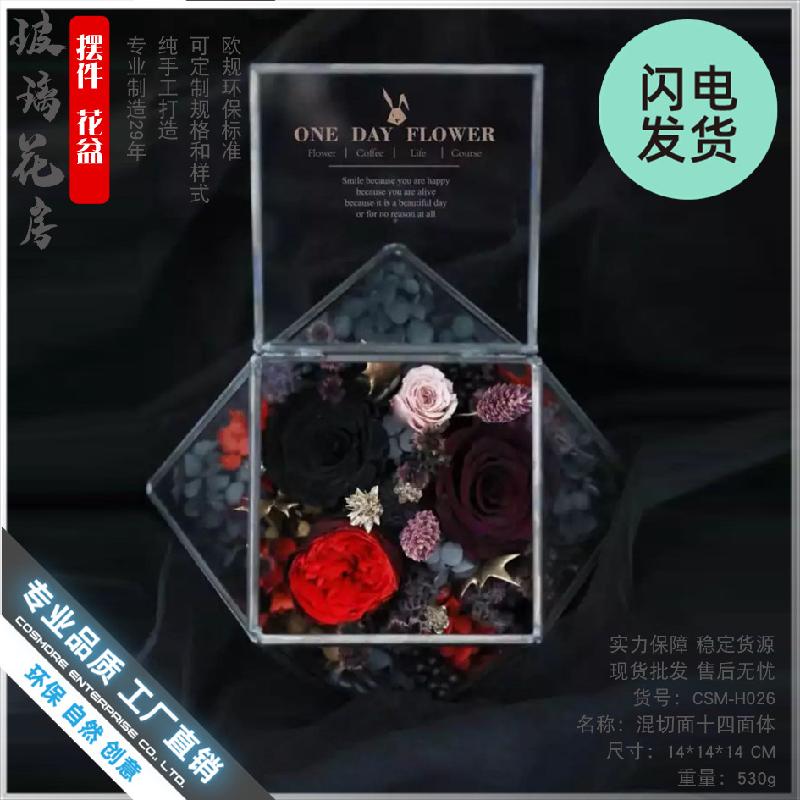 Bình sinh thái rêu cảnh DIY (DG-224)