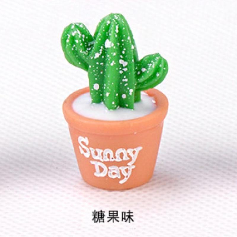 Tiểu cảnh đa dạng cây mọng nước, trang trí cây cảnh DIY (ZC-445)