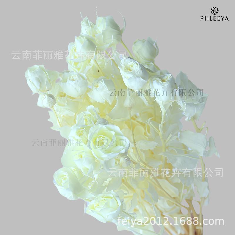 Hoa hồng chùm vĩnh cửu DIY hoa khô làm bó hoa cao cấp (HK-9)