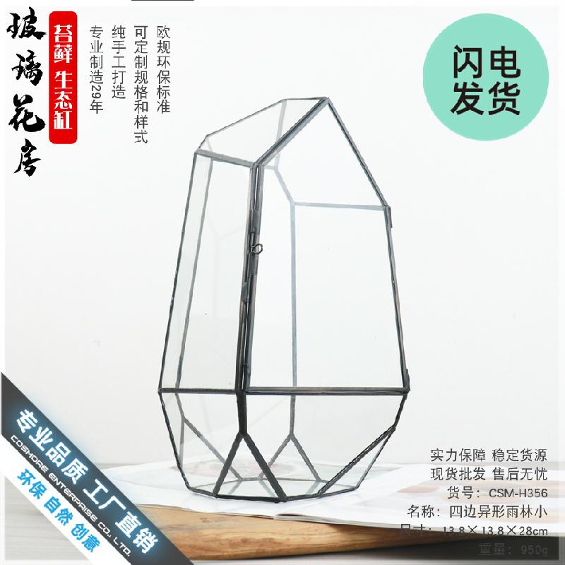 Bể Terrarium rừng mưa mini (DG-45)