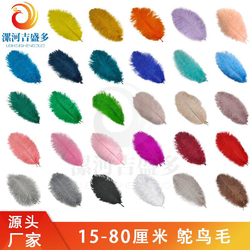 Lông đà điểu trắng từ 15-80cm, lý tưởng cho trang trí sân khấu và sự kiện. Cung cấp số lượng lớn cho đám cưới và DIY. Sẵn có hàng, mua bán buôn.