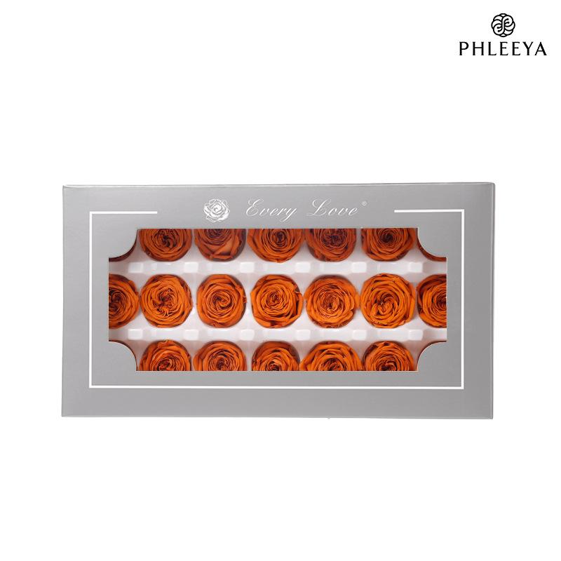 Hoa hồng Austin vĩnh cửu 2–3cm Chocolate Bubble DIY hoa khô (HK-15)