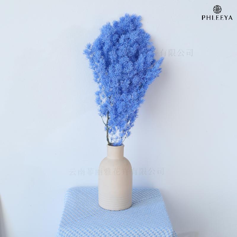 Lá tùng Bồng Lai vĩnh cửu DIY hoa khô cắm bình lồng kính (HK-43)