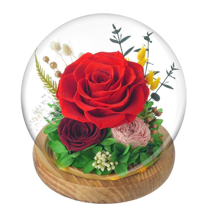 Hoa hồng vĩnh cửu lồng kính quả cầu vũ trụ quà Valentine (HK-113)