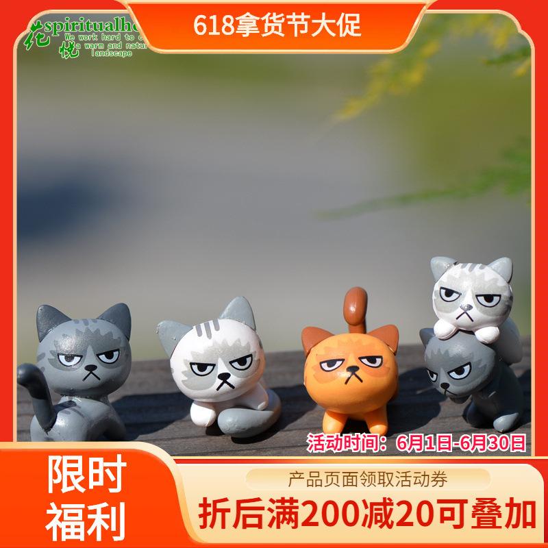 苔藓微景观 多肉植物摆件 玩偶摆件 不爽猫 DIY材料创意小摆件