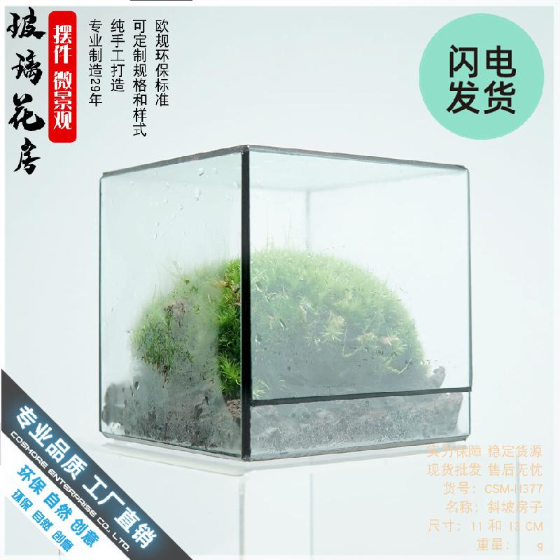 Hộp kính tiểu cảnh rừng mini (DG-23)