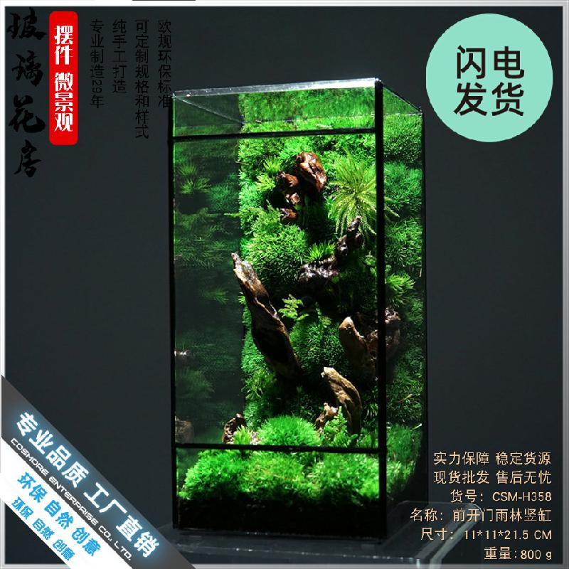 Bể kính mini hệ sinh thái rêu cảnh (DG-1)
