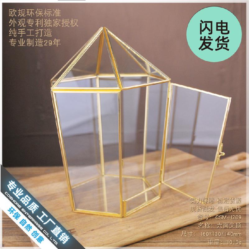 Nhà kính hình học, hộp hoa bất tử, Terrarium (DG-111)
