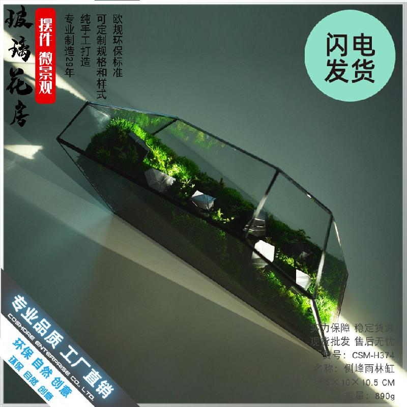 Bể Terrarium rêu cảnh, tường cây, bể cá kính (DG-64)