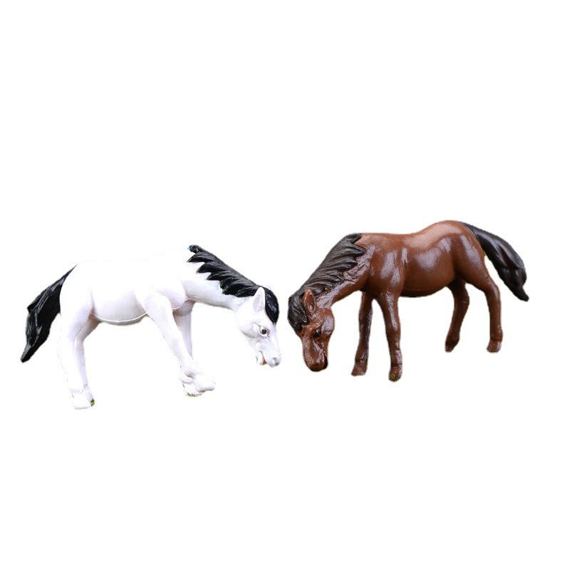 Ngựa Trắng, Ngựa Đồng Cỏ (ZC-569)