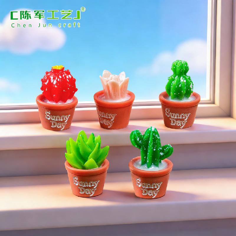Tiểu cảnh đa dạng cây mọng nước, trang trí cây cảnh DIY (ZC-445)
