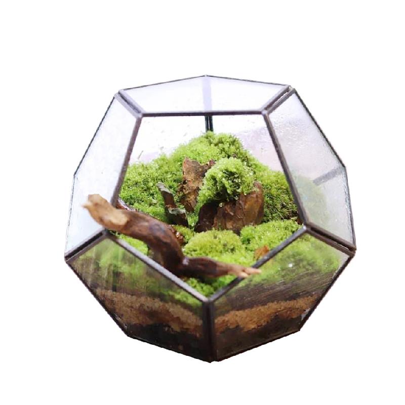 DG-25 Nhà thờ kính của nhà sản xuất trực tiếp bán sản phẩm nổi bật là tháp 12 mặt với các cây cỏ trong nhà thờ kính, sáng tạo, thức ăn nhỏ và đầy đủ các loại hoa cây