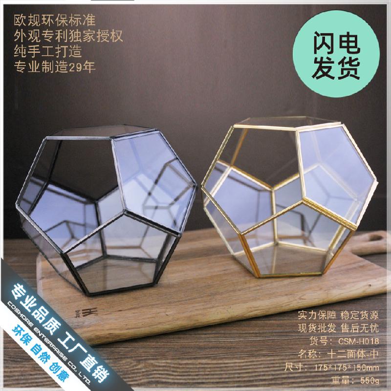 Nhà kính 12 mặt Terrarium rêu cảnh (DG-17)