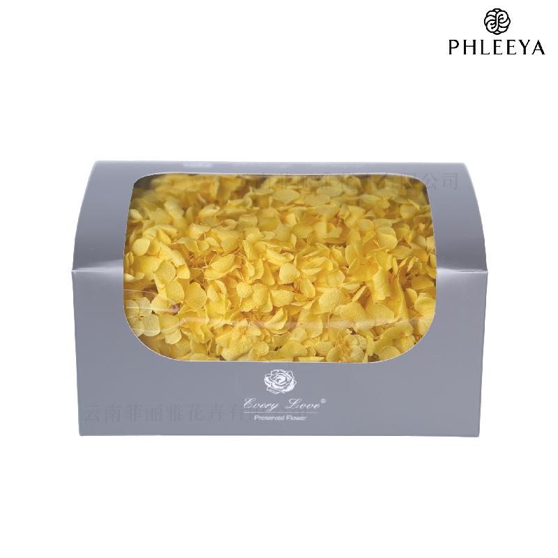Cẩm tú cầu Anna vĩnh cửu 20g DIY hoa khô trang trí (HK-32)