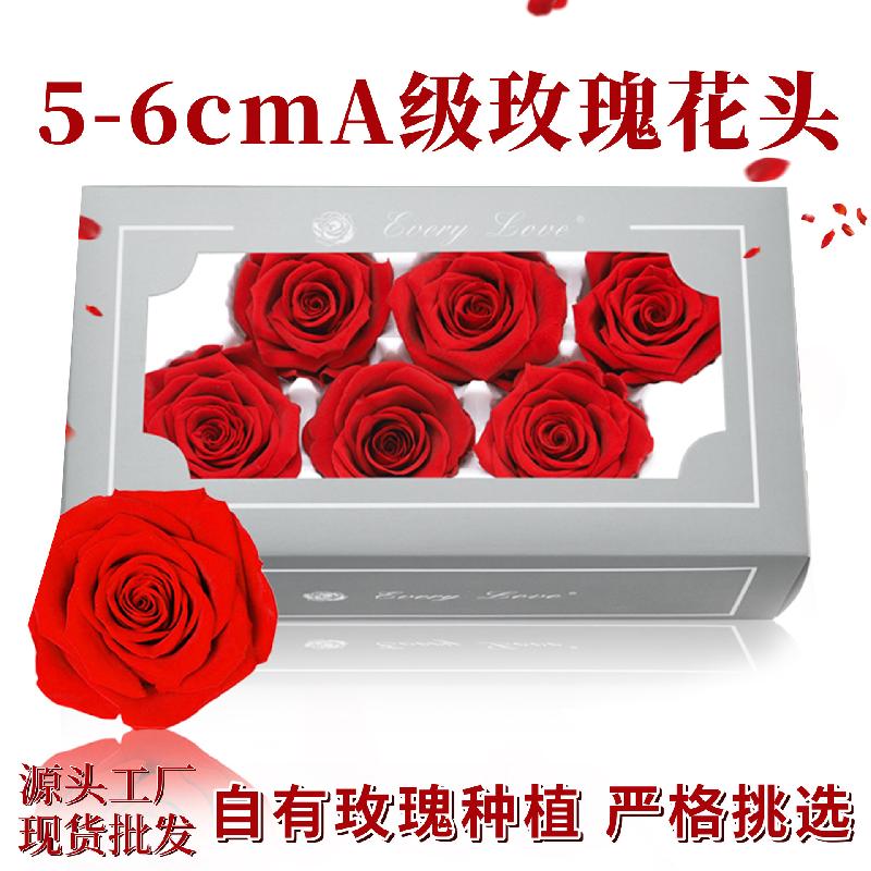 Hoa hồng vĩnh cửu hạng A 6 bông DIY hoa khô bó hoa cao cấp (HK-23)