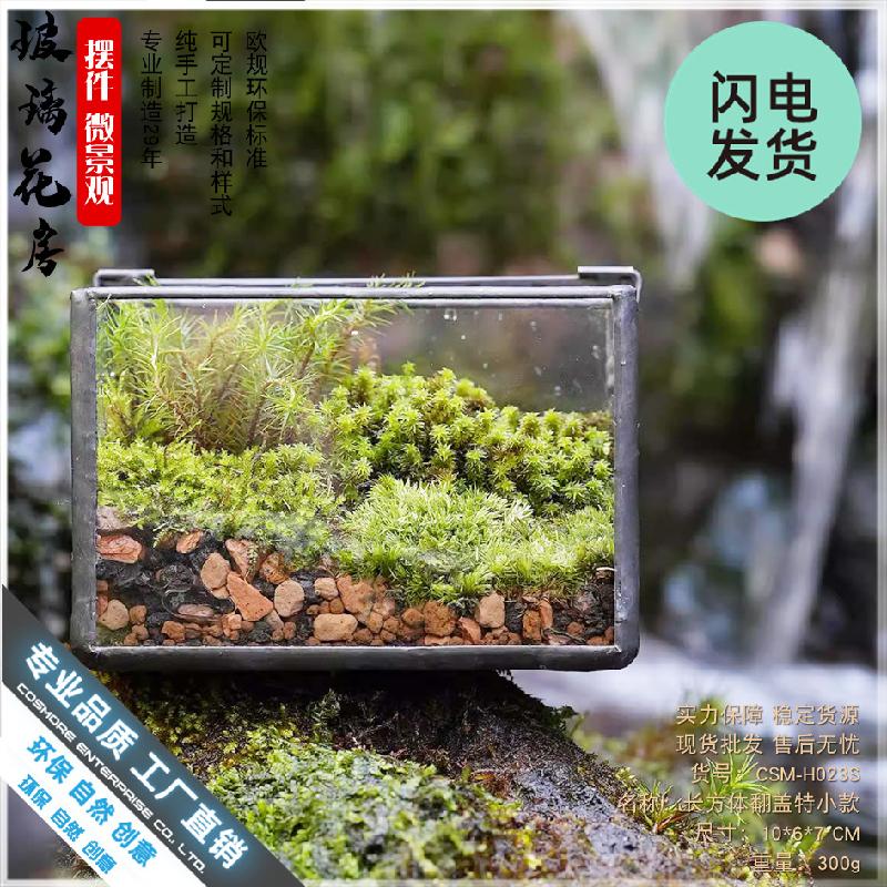 Hộp kính Terrarium rêu cảnh để bàn (DG-13)