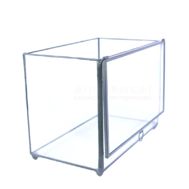 DG-52 Hộp kính hình hộp chữ nhật có kính cao với phong cảnh nhỏ của hoa bền vững và thảo mộc