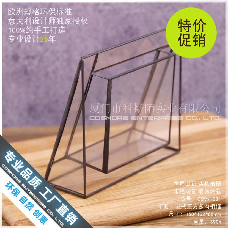 Nhà kính vuông đứng Terrarium, chậu sen đá mini (DG-53)