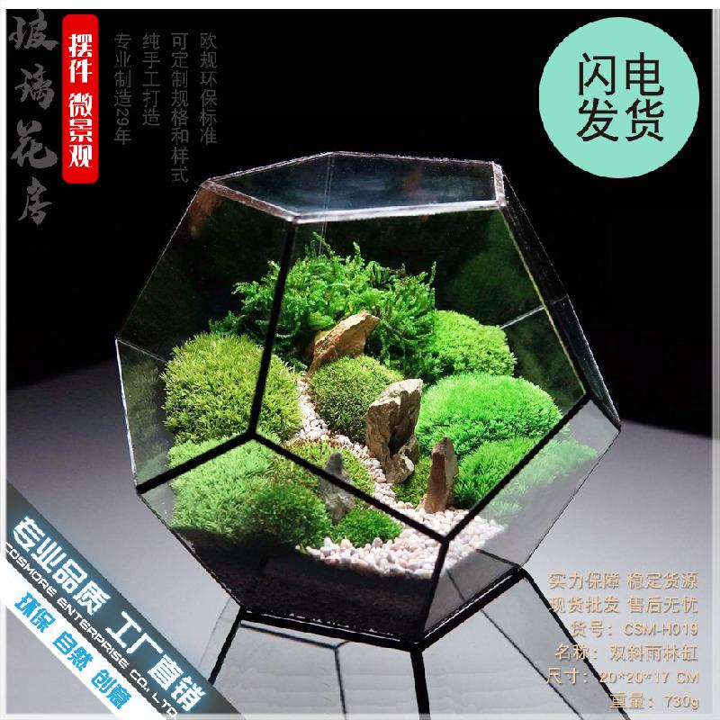 Chậu Đa Giác DG-29 Nhà máy trực tiếp bán bậc nhất mẫu 12 mặt kính lớn, phòng hoa kính xanh, sáng tạo, thực vật mọc, cảnh quan nhỏ, đa thực vật