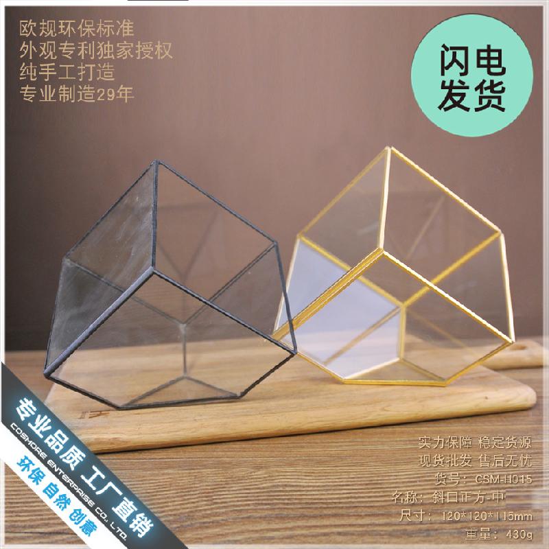 Nhà kính vuông Terrarium hoa bất tử (DG-227)