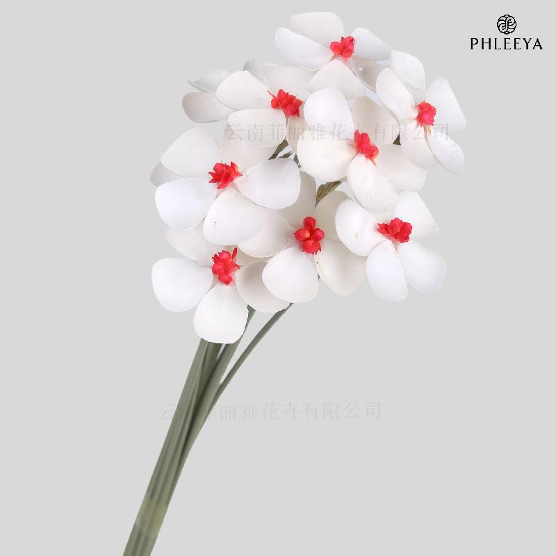 Hoa violet khô DIY hoa trang trí nhà cửa hoa giả (HK-27)