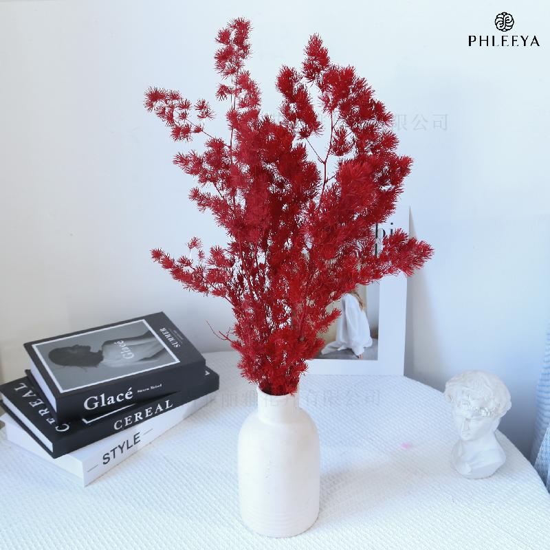 Lá tùng Bồng Lai vĩnh cửu DIY hoa khô cắm bình lồng kính (HK-43)