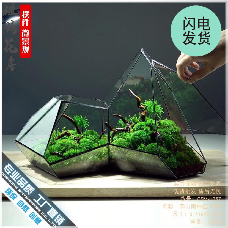 Chậu Đa Giác DG-6 Các cảnh quan nhỏ, rừng mây tảo, hình học rừng, tường kính, phòng hoa không đều, chai sinh thái không đều, các hộp cây thực vật nhiều thịt, các hộp cây cỏ nước và các bình hoa