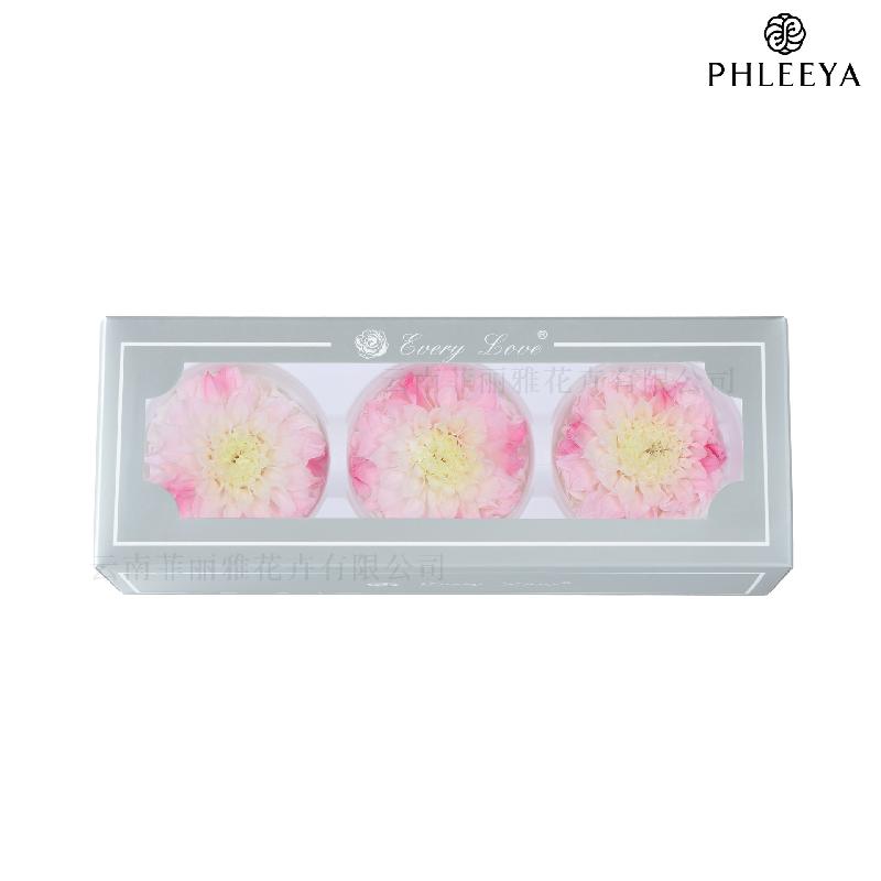Hoa thược dược vĩnh cửu 7–8cm chuyển màu DIY hoa trang trí cưới (HK-21)