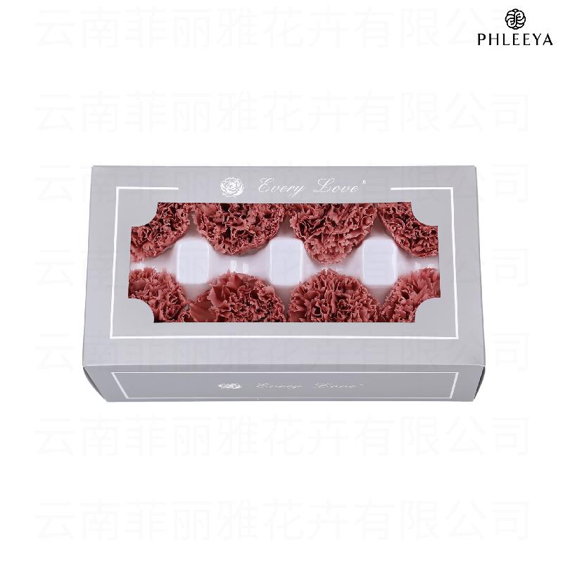 Hoa cẩm chướng vĩnh cửu 8 bông DIY quà Ngày của Mẹ (HK-30)