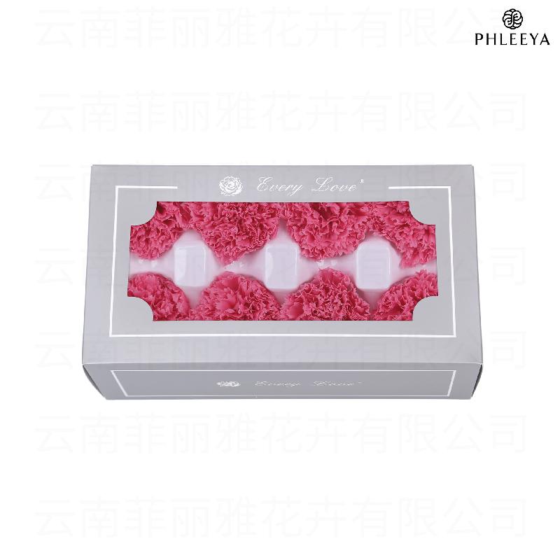 Hoa cẩm chướng vĩnh cửu 8 bông DIY quà Ngày của Mẹ (HK-30)