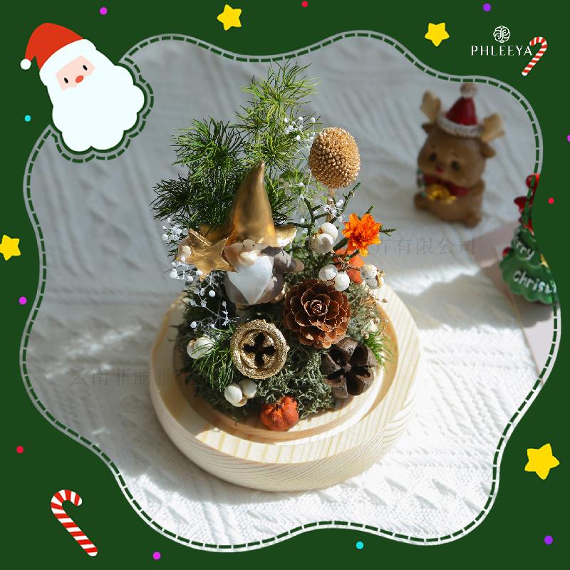 Hoa hồng vĩnh cửu cây thông Noel quà Valentine Thất Tịch (HK-80)