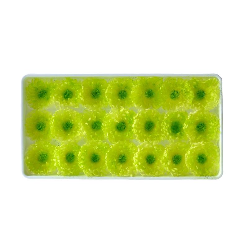 Hoa cúc vĩnh cửu DIY hoa khô cắm bình trang trí (HK-37)